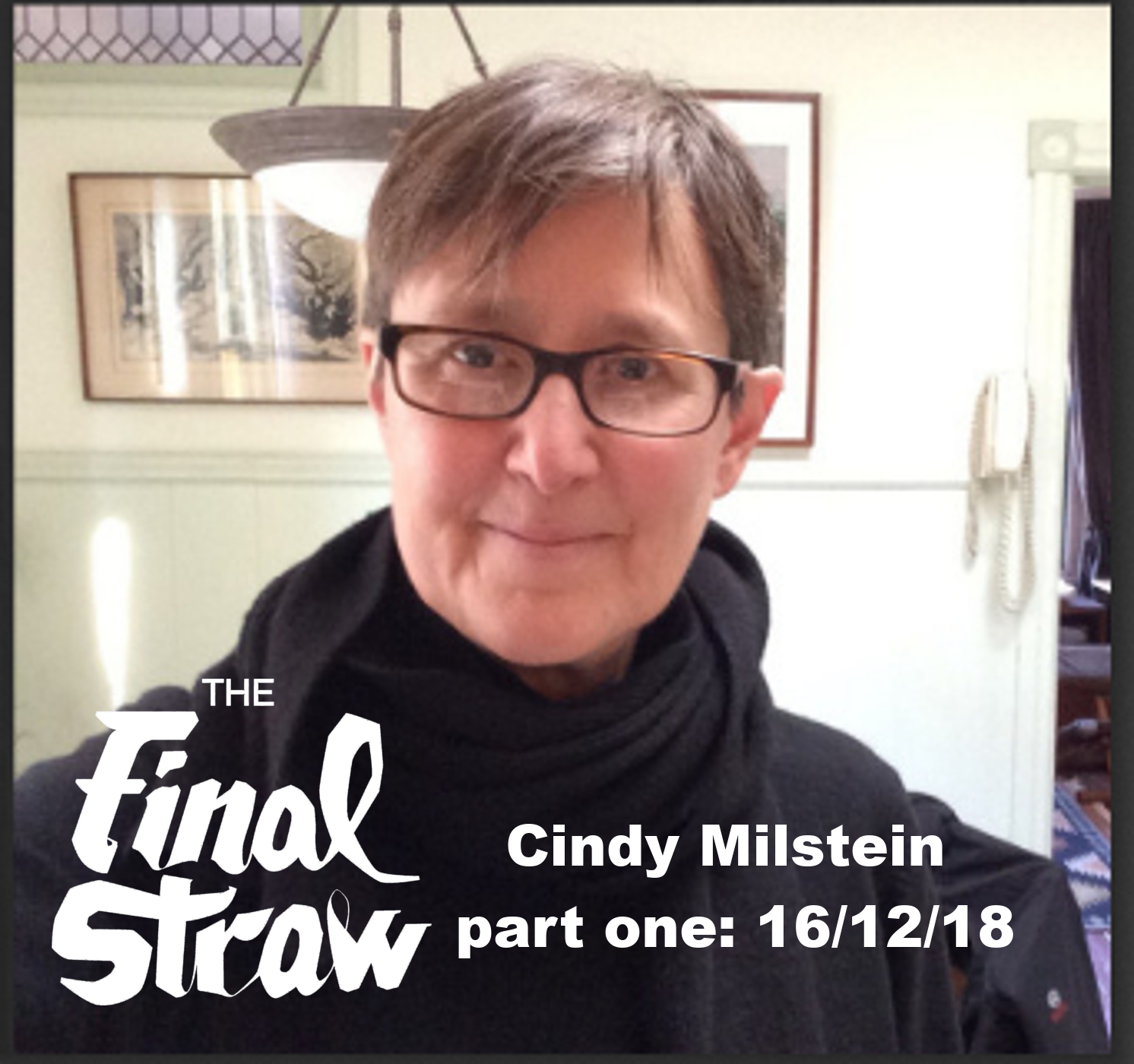 cindy milstein anarchism and its aspirations
