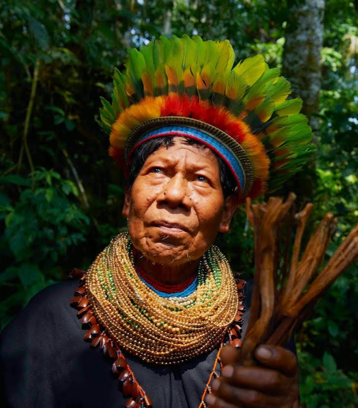 Guardians of the Amazon: Exploring the Rich Tapestry of South America's Native Tribes