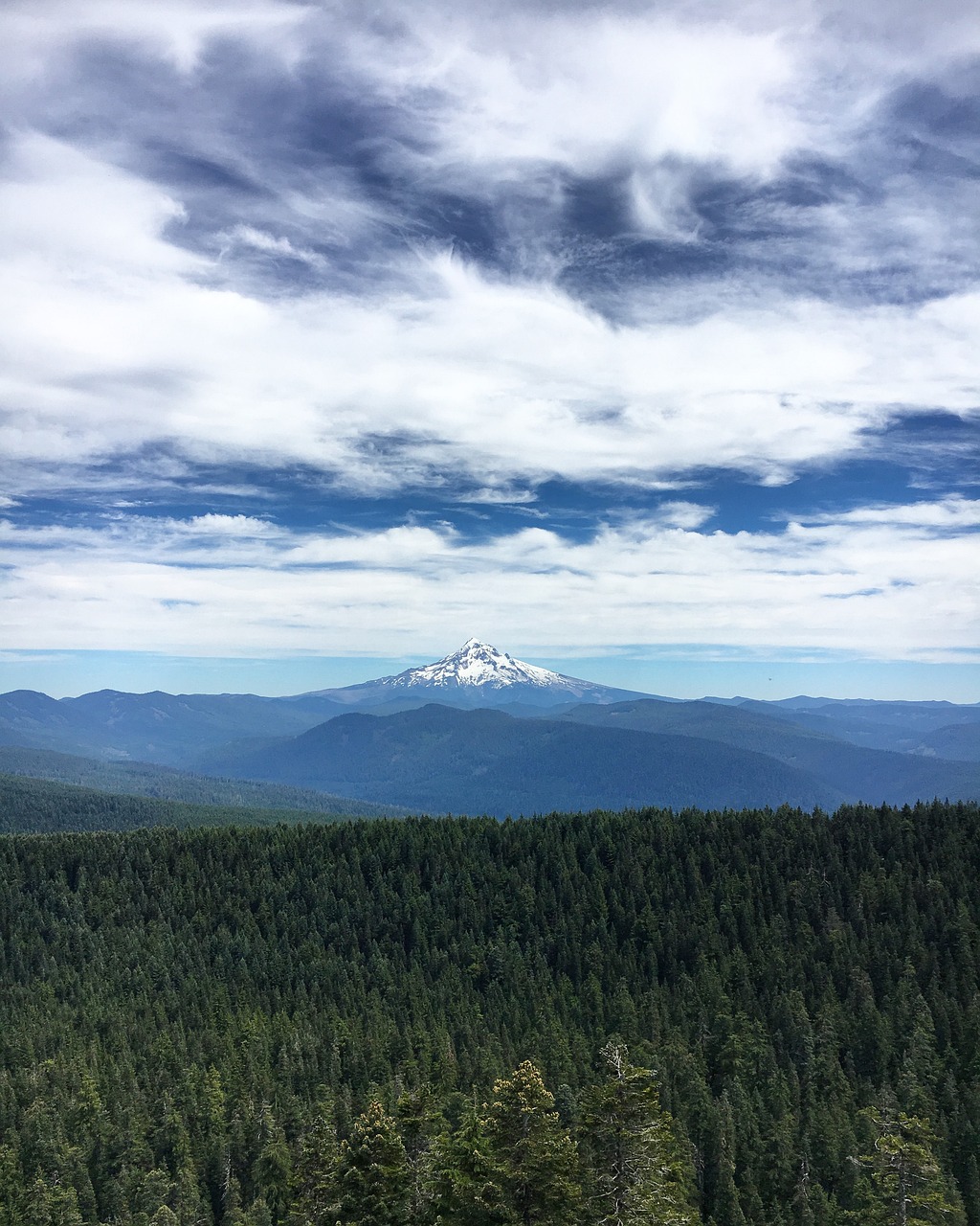 Celebrating Two Recent Victories for Oceans and State Forests! | KBOO