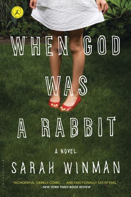 book reviews when god was a rabbit