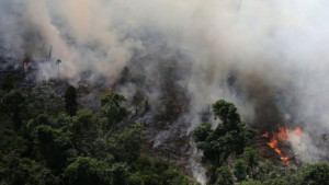 Amazon in Flames Amazon in Flames
