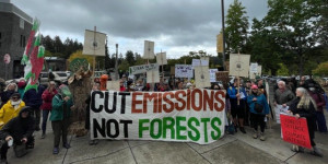 Who Should Own the Forests