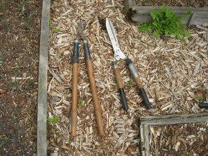 Tools to sharpen
