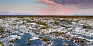Frozen peatlands Frozen peatlands