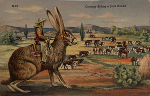 Cowboy riding a jackrabbit Image of a cowboy riding a very large jackrabbit.