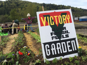 Victory Over Fossil Fuels Garden Victory Over Fossil Fuels Garden
