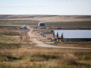 Lost Valley Farm CAFO