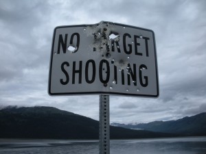Bullet-hole-riddled sign saying No Target Shooting