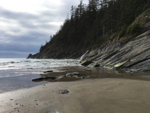 Surf meets beach at Short Sands, OR