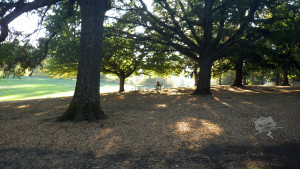 A lonely person sitting alone in the park with the Self Help Radio logo on the ground nearby.