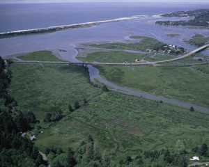 Siletz River Ecosystem Intervenes in Lawsuit against Aerial Pesticide ...