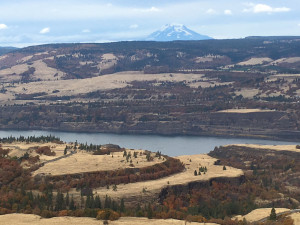view from Tom McCall Point view from Tom McCall Point