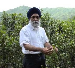 Veerinder Chawla, founder of The Tao of Tea Veerinder Chawla, founder of The Tao of Tea