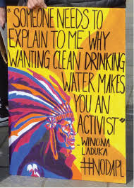 Winona LaDuke fighting for clean water makes you an activist Winona LaDuke fighting for clean water makes you an activist