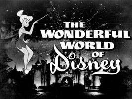 The Wonderful World of Disney The Wonderful World of Disney