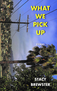 What We Pick Up by Stacy Brewster What We Pick Up by Stacy Brewster