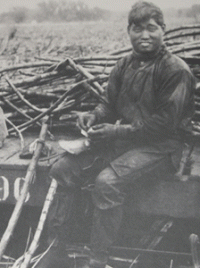 Hawaii sugar cane worker Hawaii sugar cane worker