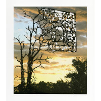 af_nicola_lopez_sunsetsandblueskies_shards_nlo52_w.jpeg af_nicola_lopez_sunsetsandblueskies_shards_nlo52_w.jpeg