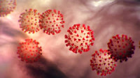 Coronavirus Coronavirus