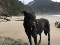 Corrina at Short Sands