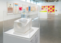 jsma-art-of-food-dsc_8616.jpg jsma-art-of-food-dsc_8616.jpg
