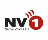 nv1_logo_