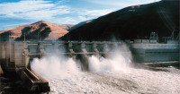 Salmon killing Snake River dam Salmon killing Snake River dam