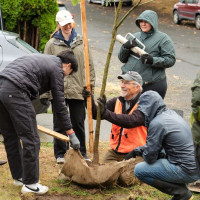 Friends of Trees