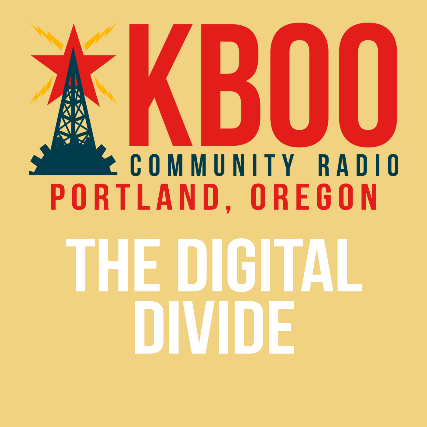 The Digital Divide