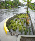 Floodplains, Stormwater and Climate Resilience